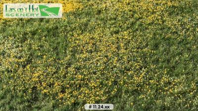 11 24pre fleur ete