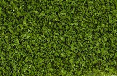 15155 feuilles realistes olive