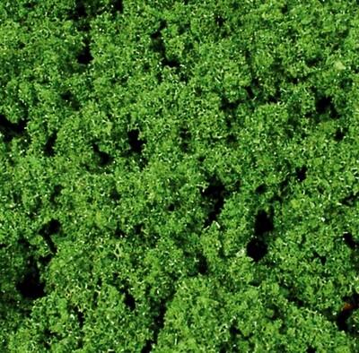 1540 filet de feuillage compact vert moyen