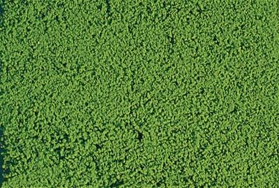 1600 filet de flocage fin vert clair