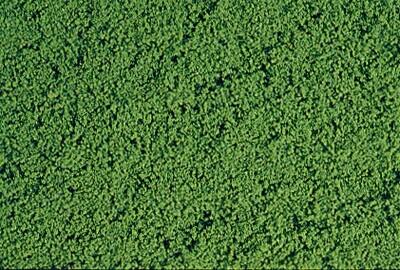 1601 filet de flocage fin vert moyen