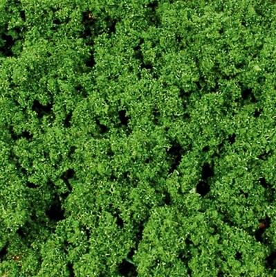 1696 flocage gros vert moyen melange de mousse et flocage