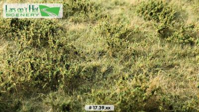17 39bord sauv aut
