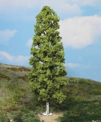 1985 bouleau 27 cm