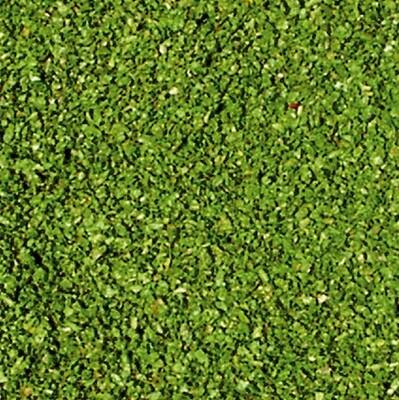 3398 realiste feuilles de vigne