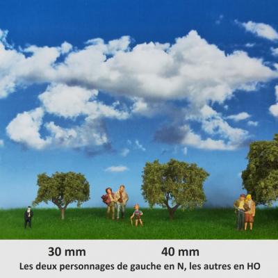 Arbes petites tailles 3