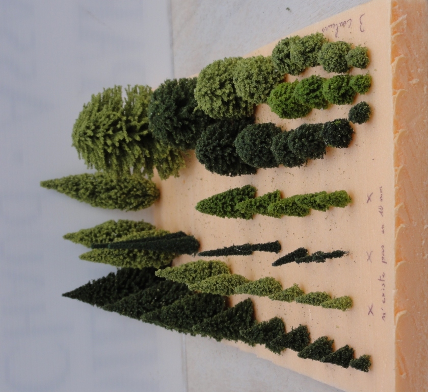 Arbres d ornement perspective