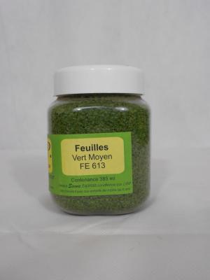Fe 613