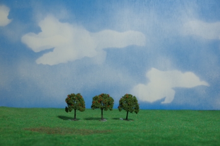 Pommiers 5 5 cm 1