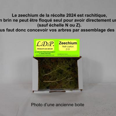 Z01 boutique 2024