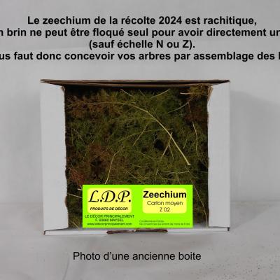 Z02 boutique 2024