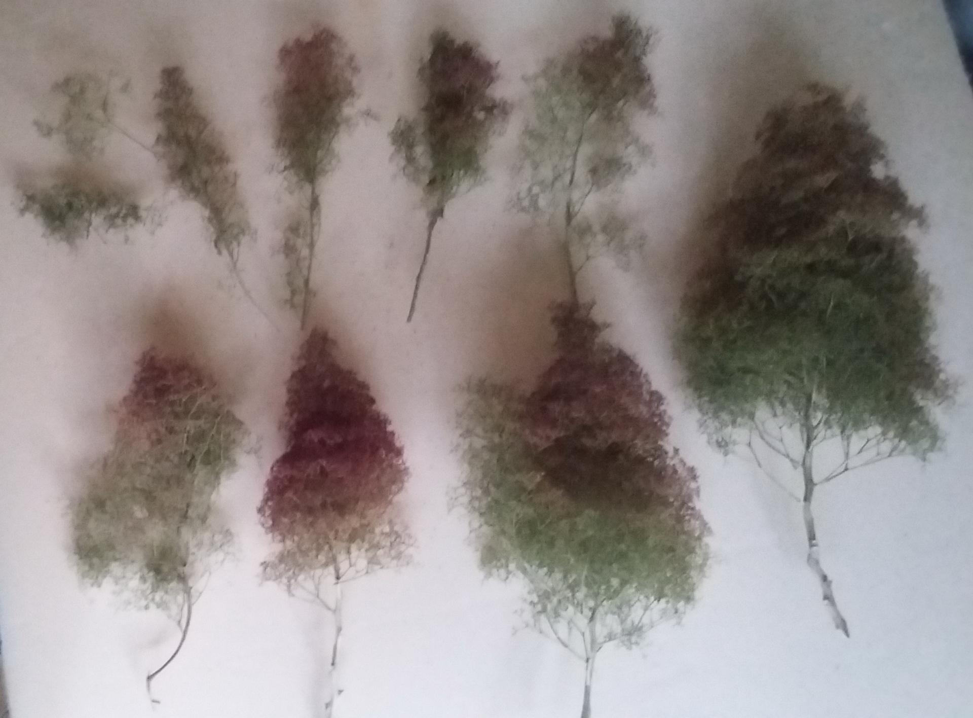 LDP vend du zeechium pour réaliser arbres, buissons, ...